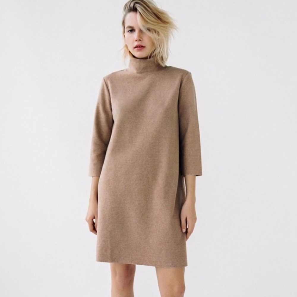 Zara sweater dress!